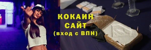 стафф Арсеньев