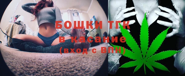 стафф Арсеньев