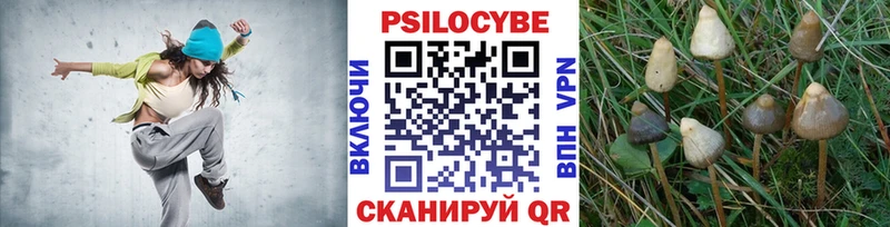 Псилоцибиновые грибы GOLDEN TEACHER Купить Узловая